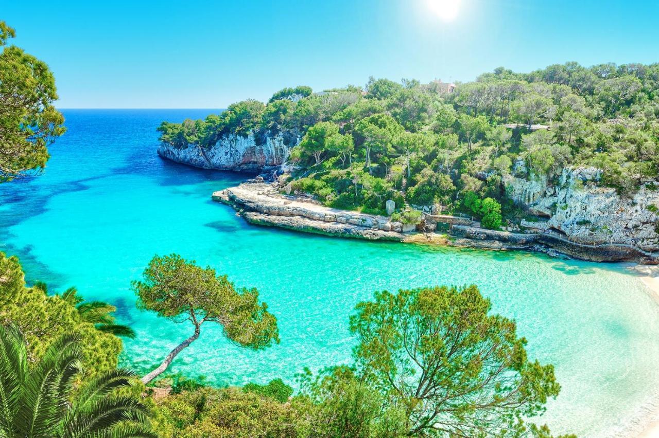 Bellviure Luxury Villa Mallorca La Cabaneta Dış mekan fotoğraf